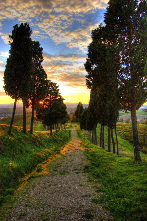 Locanda Viani San Gimignano Buitenkant foto